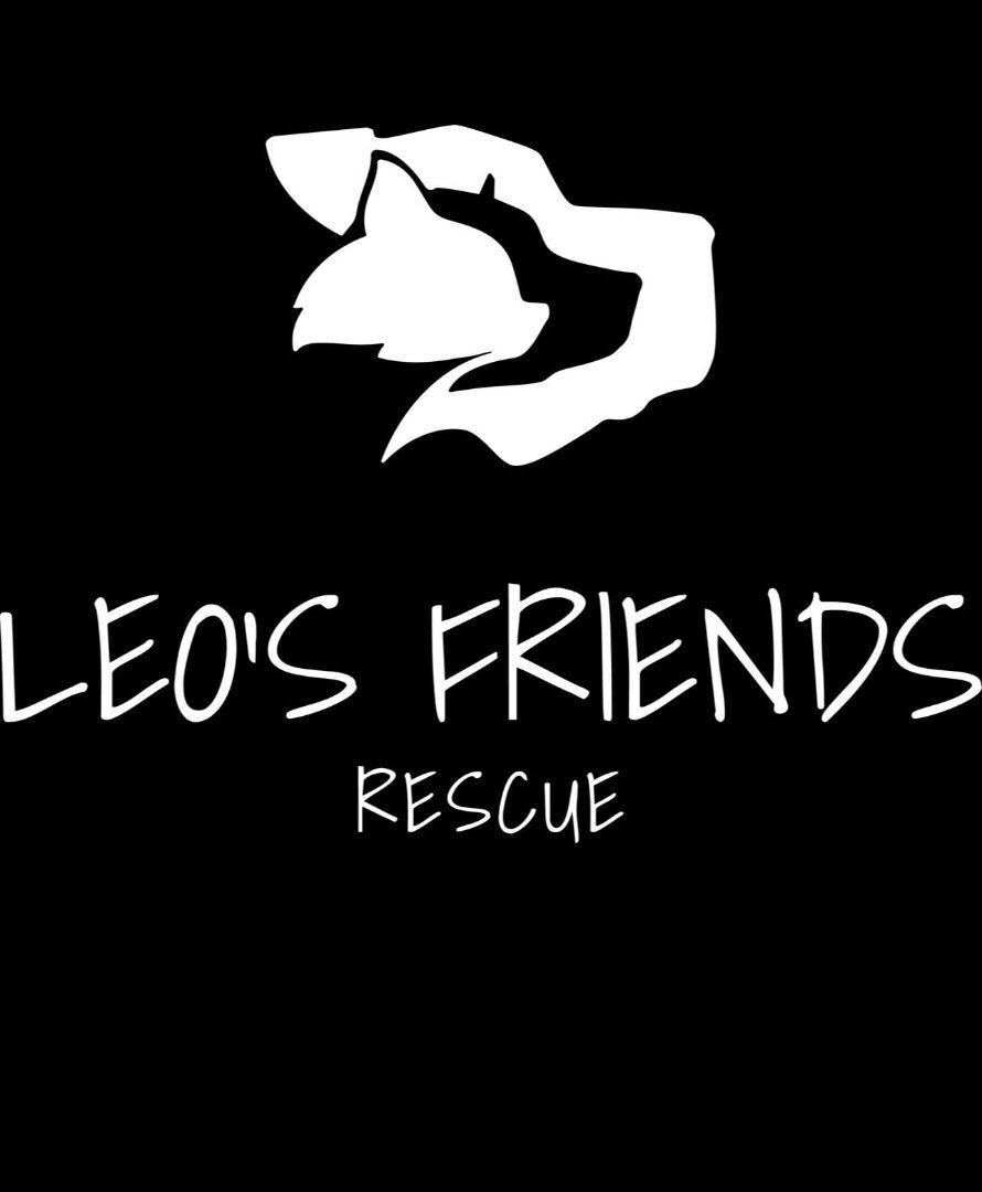 Leo's Friends Rescue