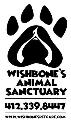 Pets for Adoption at Wishbone's Animal Sanctuary, in