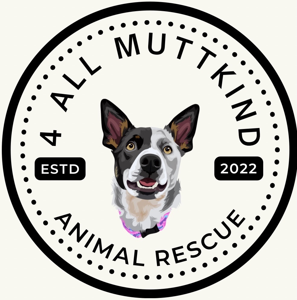 4 All MuttKind Animal Rescue