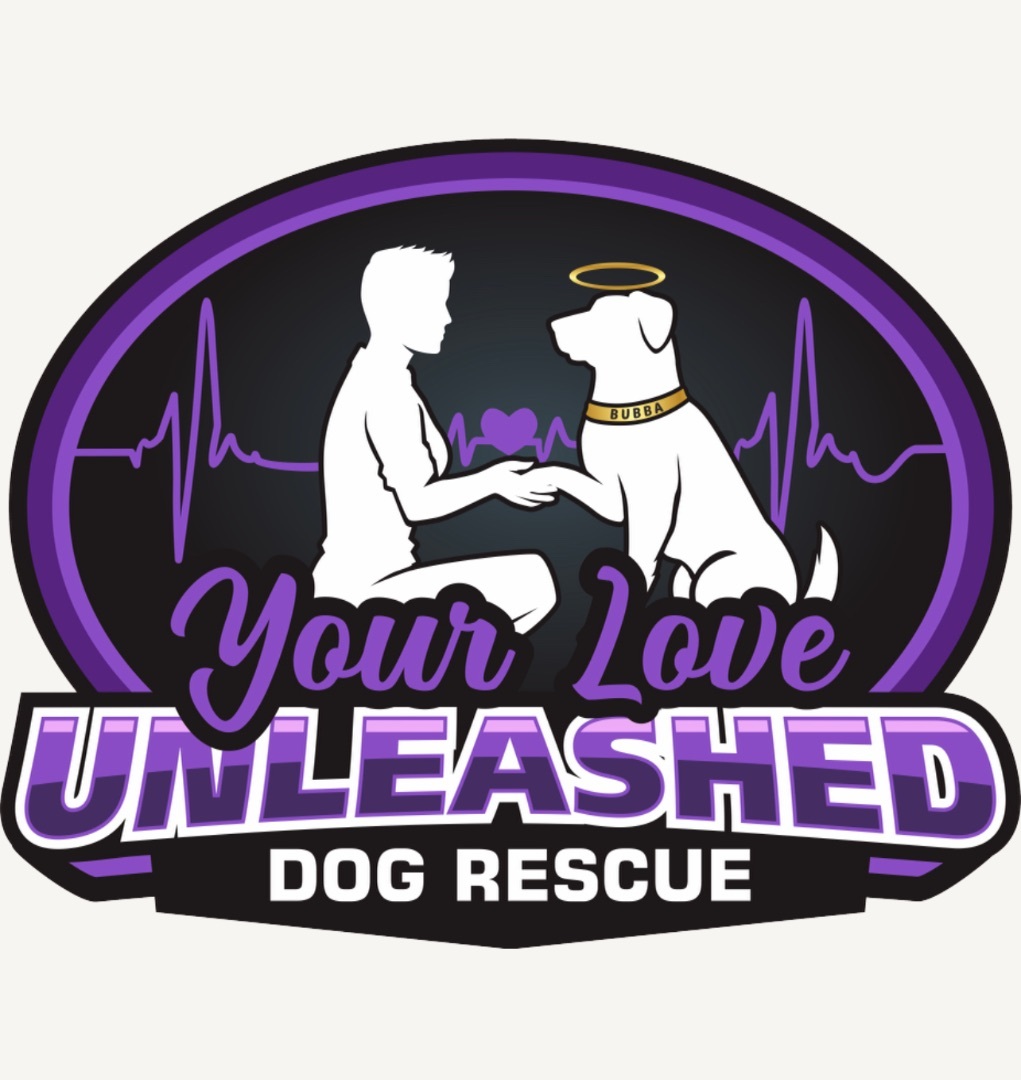 We get a lot of cool - Unleashed Pet Rescue and Adoption