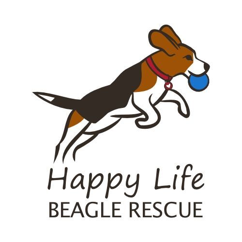 Happy Life Beagle Rescue Inc