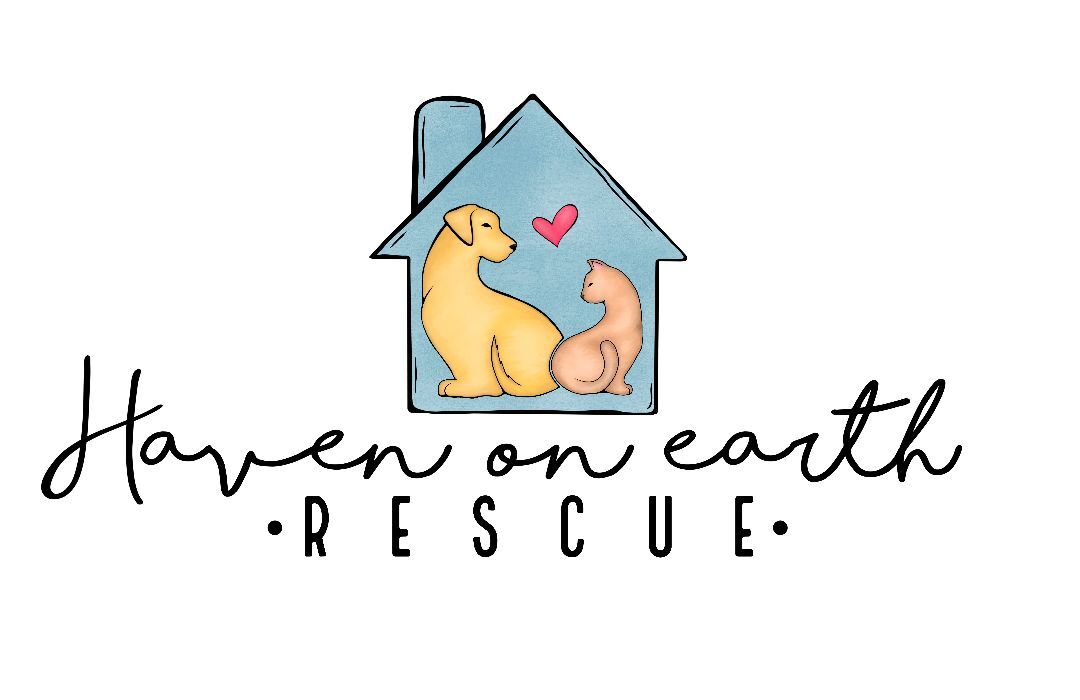 Haven on Earth Rescue