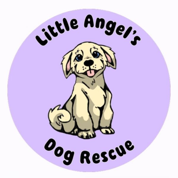 Little Angel's Dog Rescue