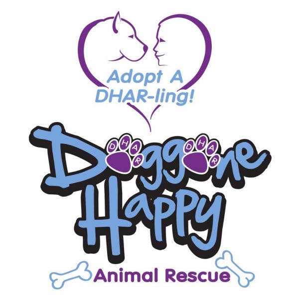 Doggone Happy Animal Rescue