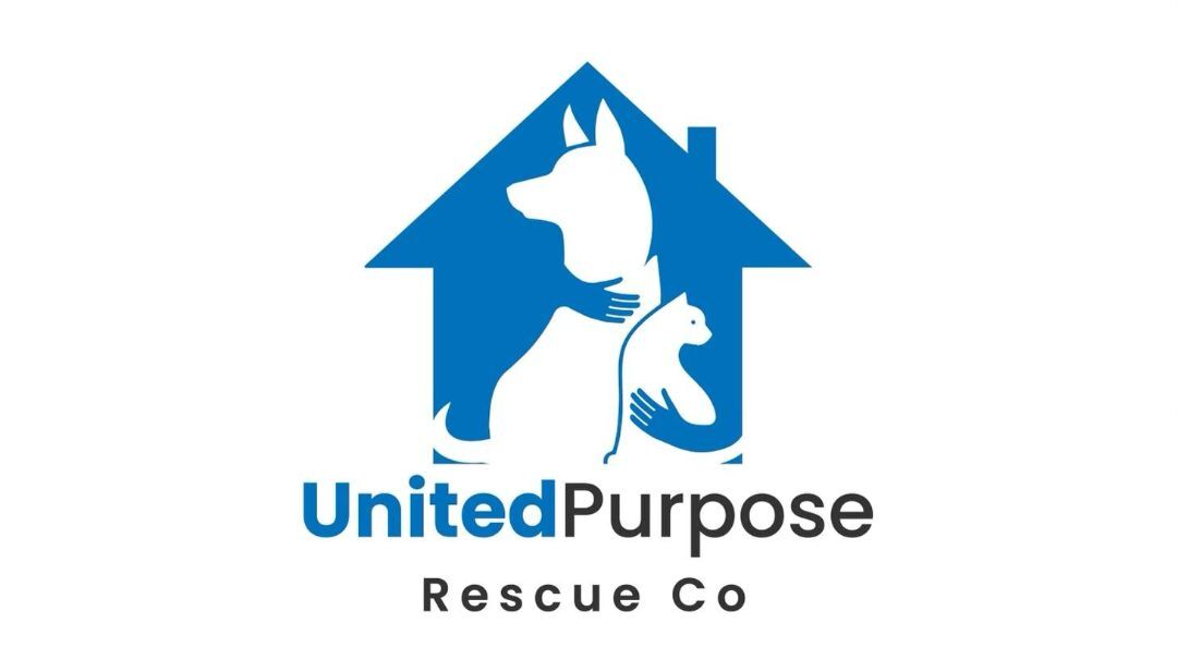 Pets for Adoption at United Purpose Rescue, in Canyon Lake, TX | Petfinder