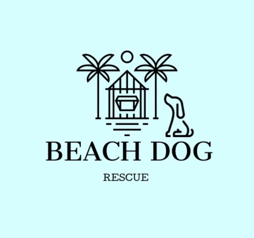 Beach Dog Rescue