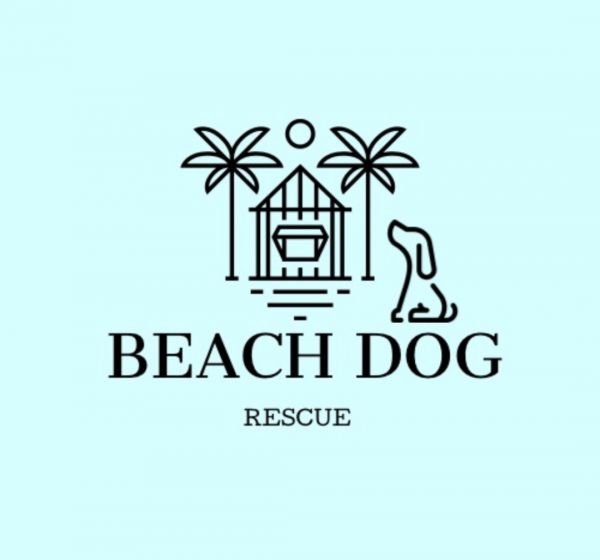 Beach Dog Rescue