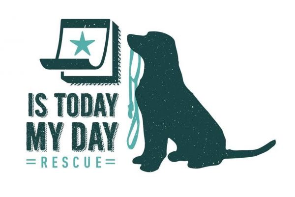 Is Today My Day Rescue