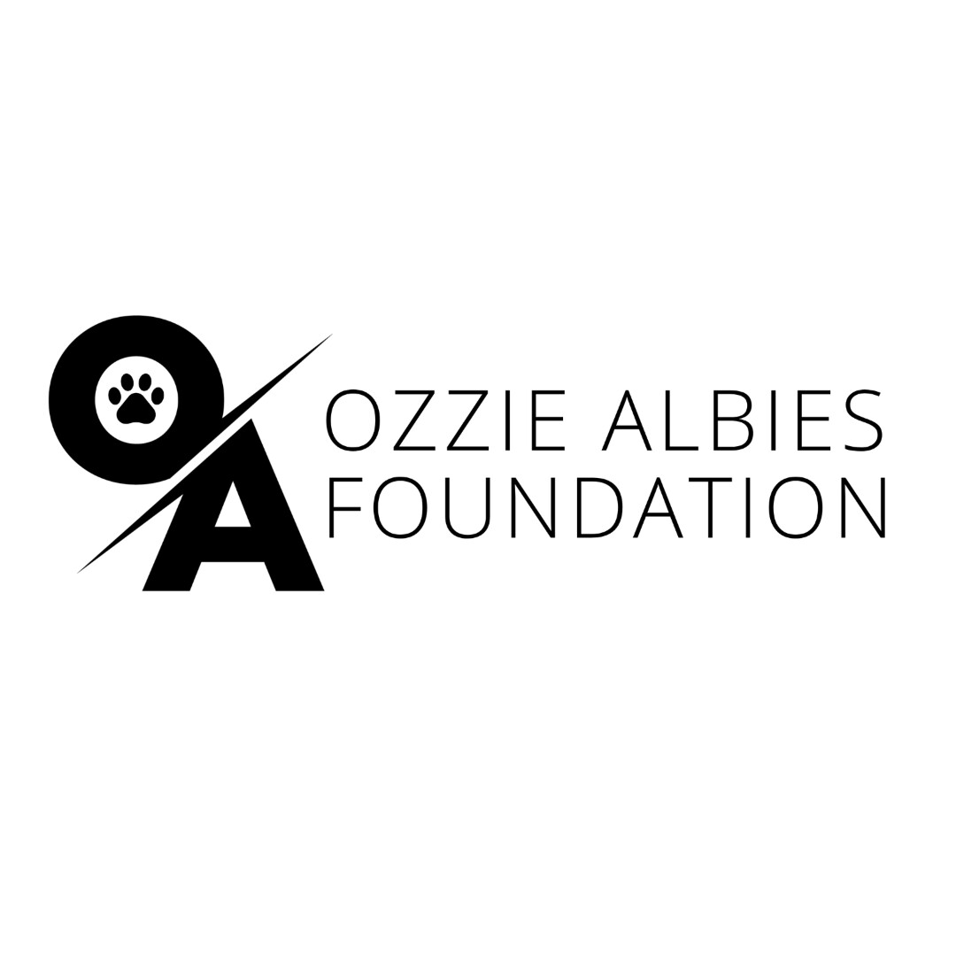 Ozzie Albies Foundation