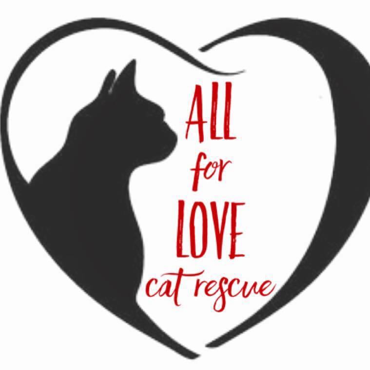 All For Love Rescue