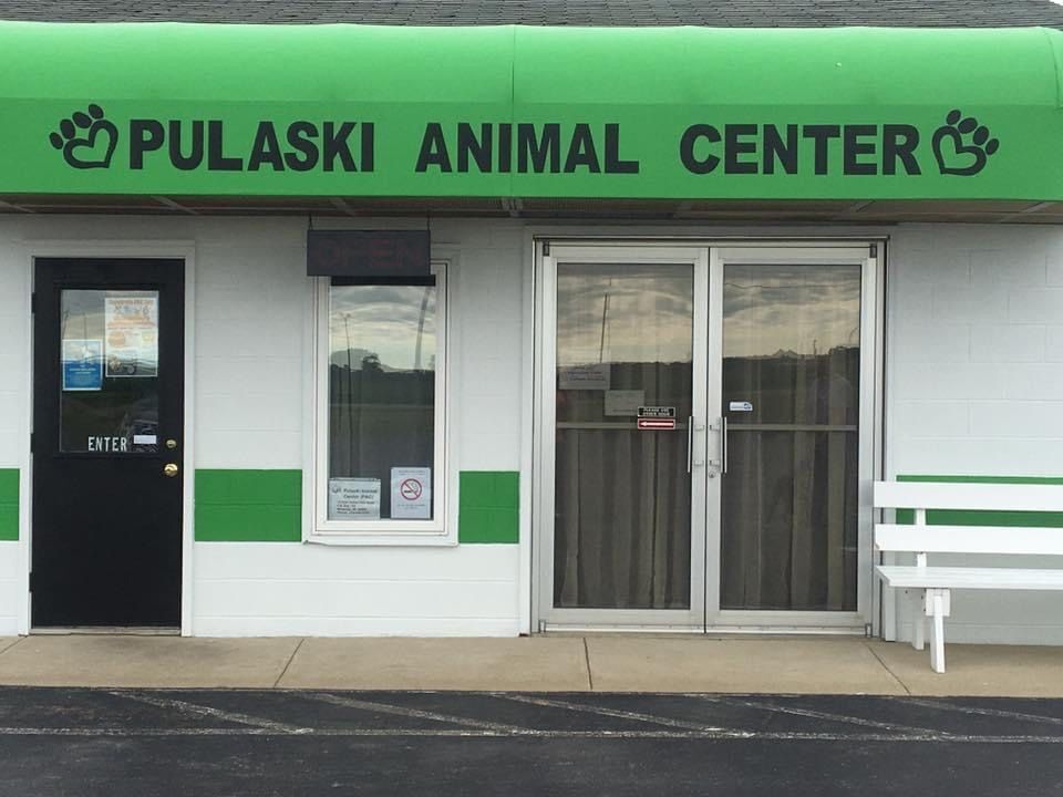 Pets for Adoption at Pulaski Animal Center Inc., in Winamac, IN Petfinder