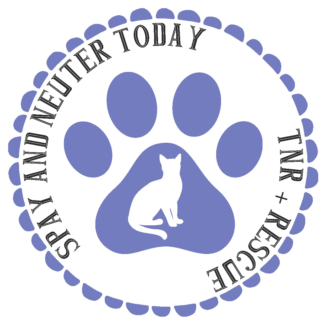 Spay and Neuter Today