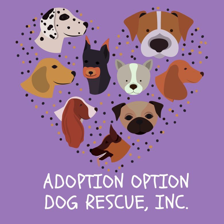 Adoption Option Dog Rescue, Inc.