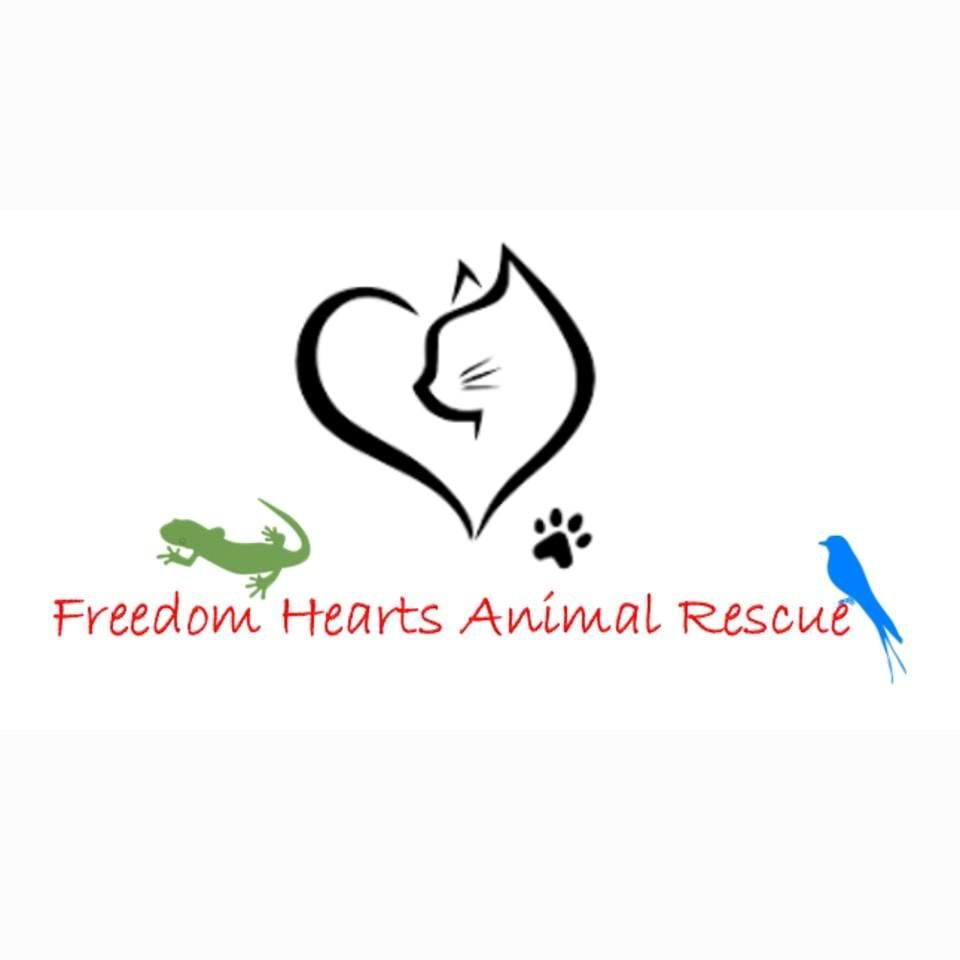 Pets for Adoption at Freedom Hearts Animal Rescue, in Martinsburg, WV