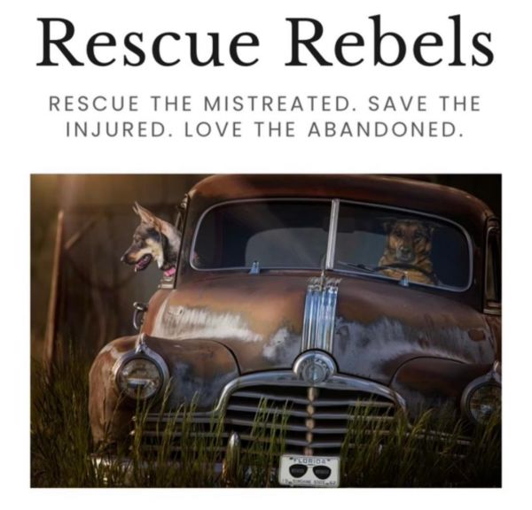 Rescue Rebels by Cash 4 Canines Inc