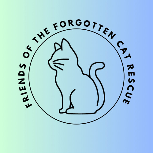 Friends of the Forgotten Cat Rescue, Inc.