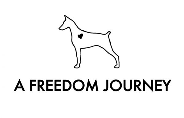 A Freedom Journey