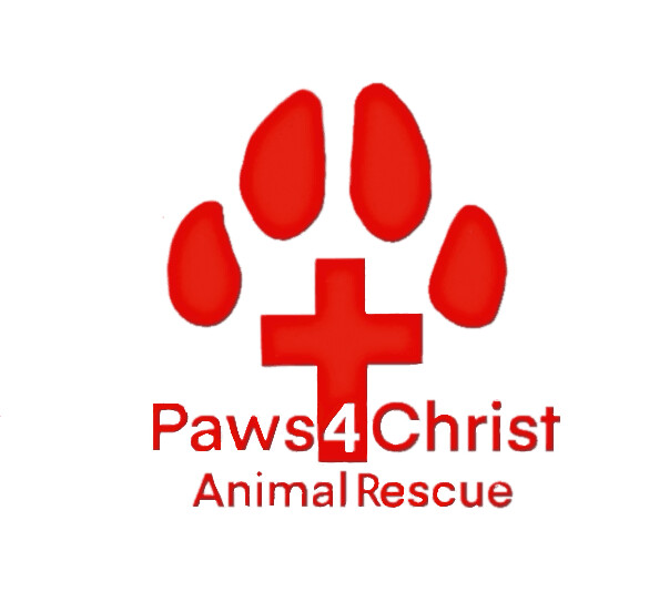 Paws4Christ Animal Rescue