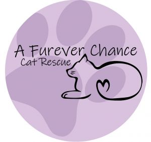 A Furever Chance Inc,