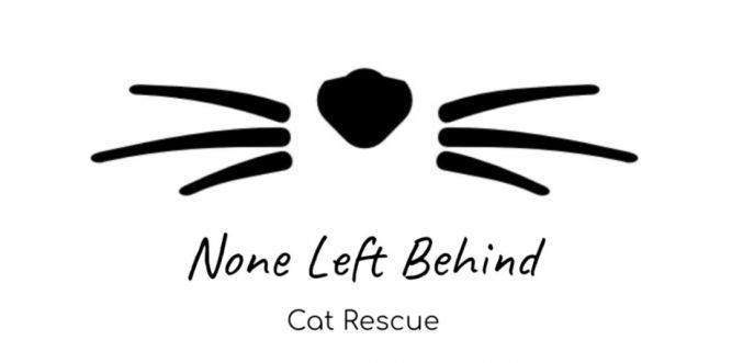 None Left Behind Cat Rescue