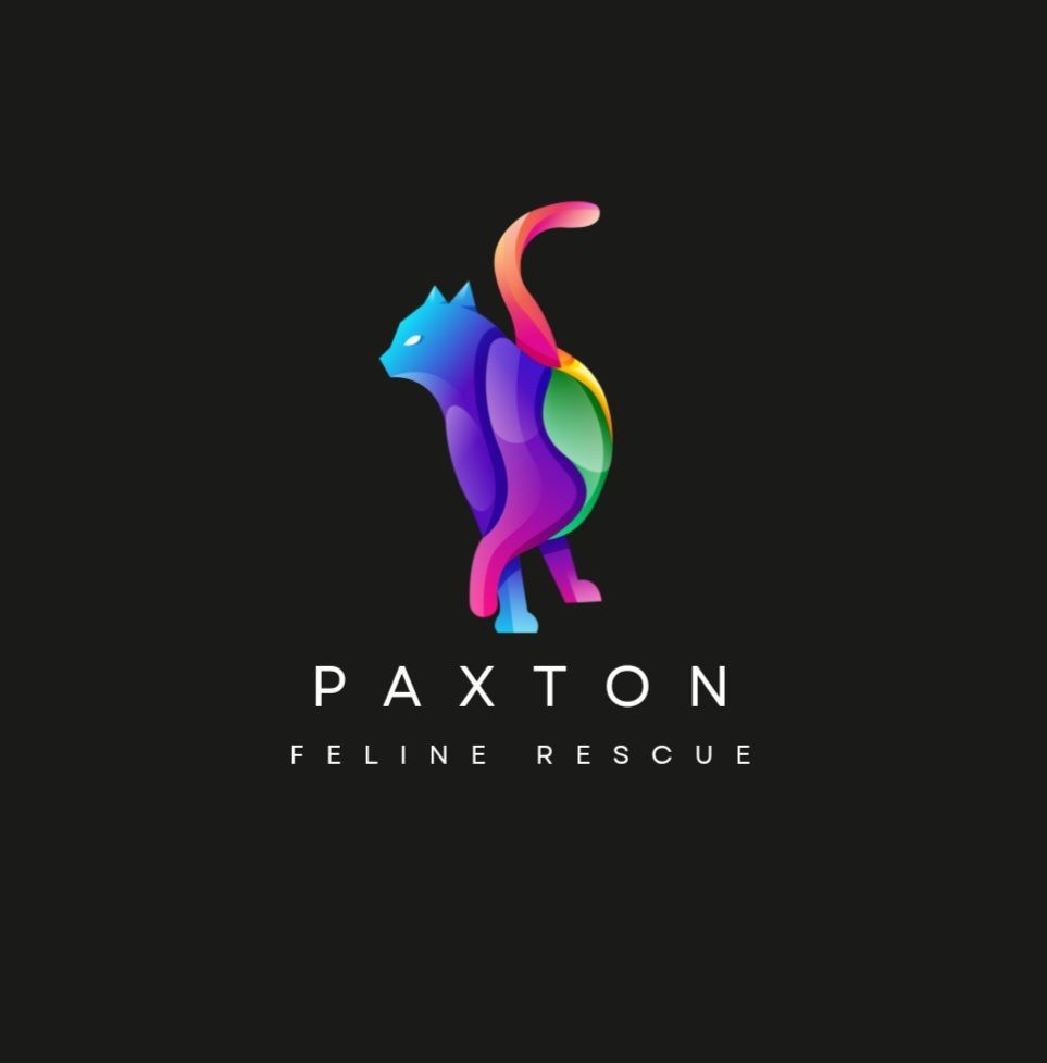 Paxton Feline Rescue