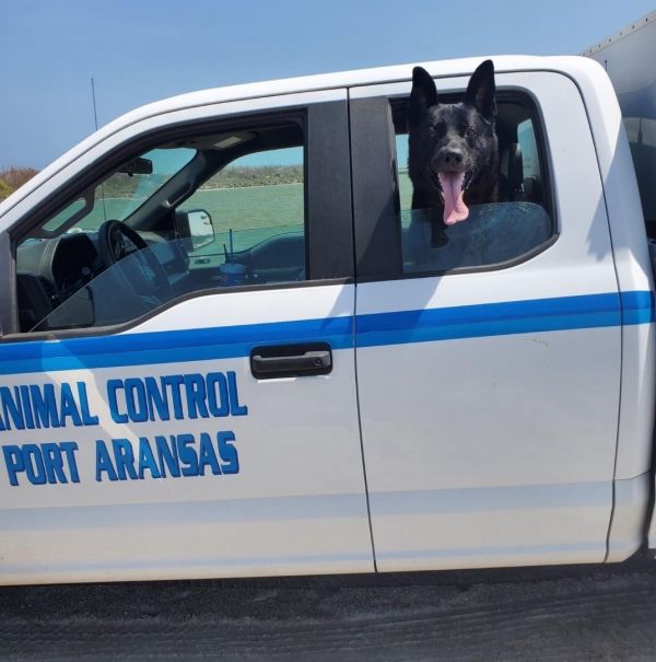 City Of Port Aransas Animal Shelter