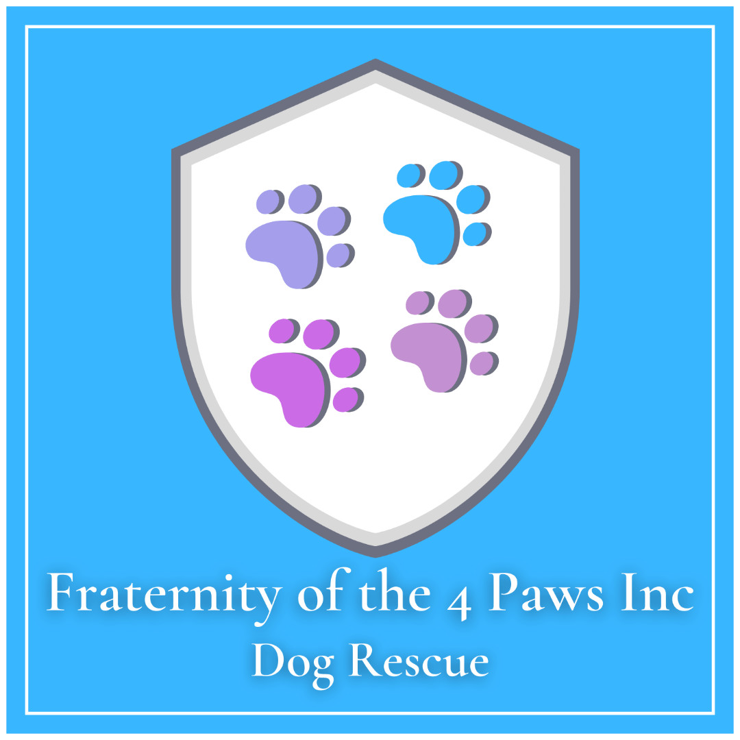 Fraternity of the 4 Paws