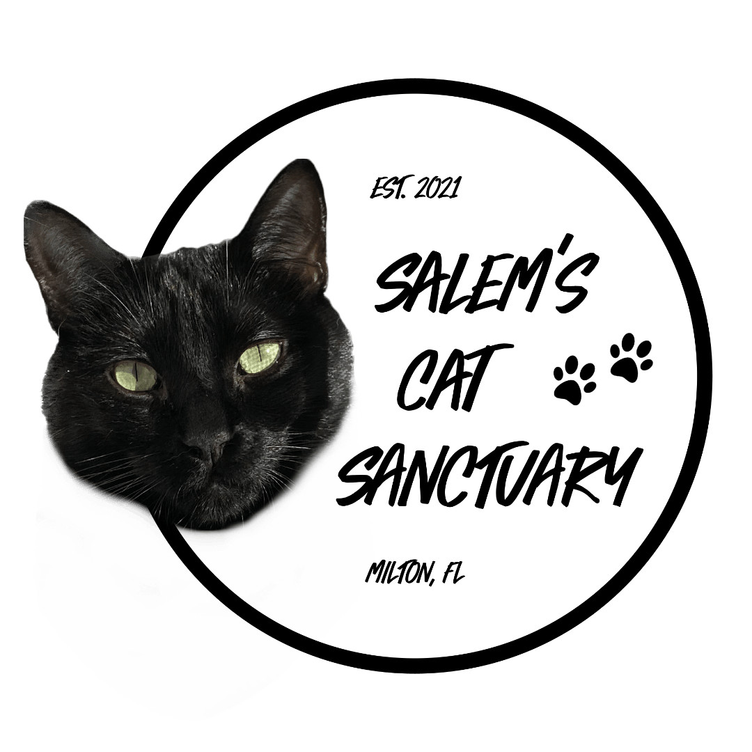 Salem’s Cat Sanctuary