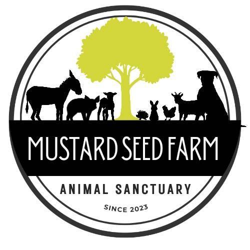 Mustard Seed Farm Animal Sanctuary