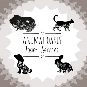 Animal Oasis Foster Services, Inc