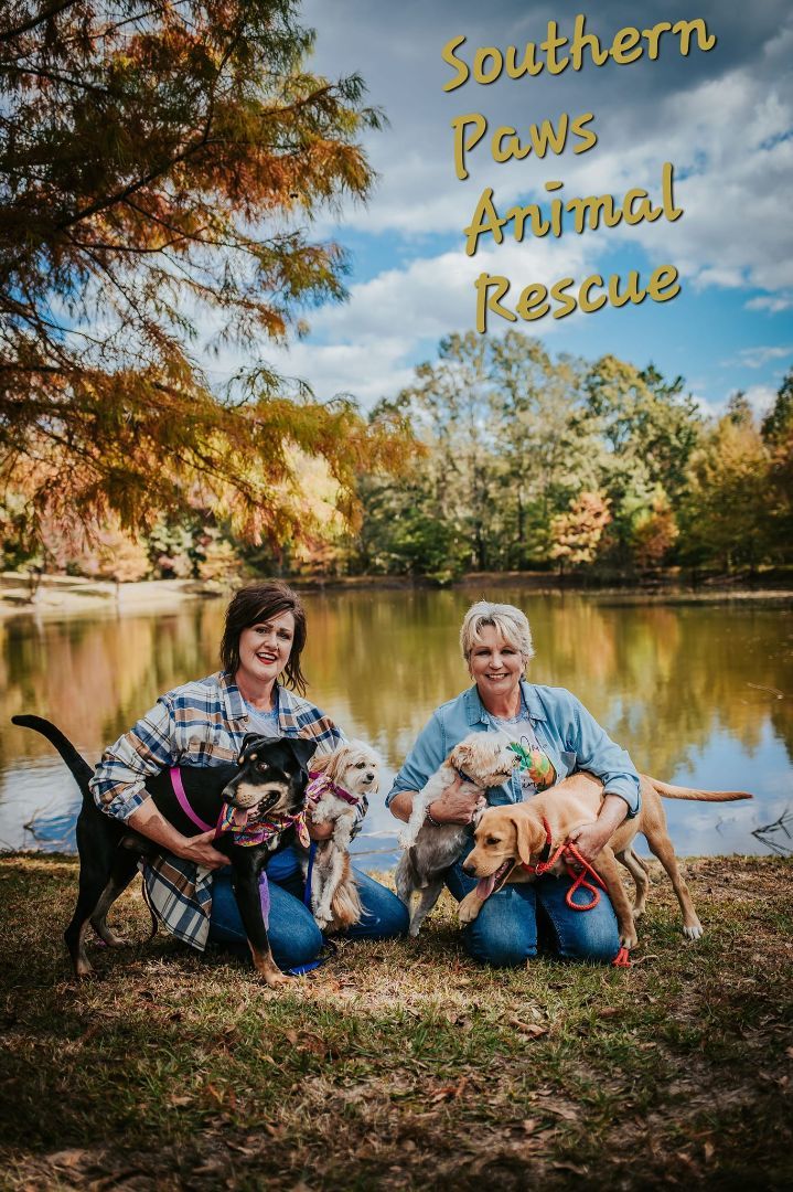 Southern Paws Animal Rescue