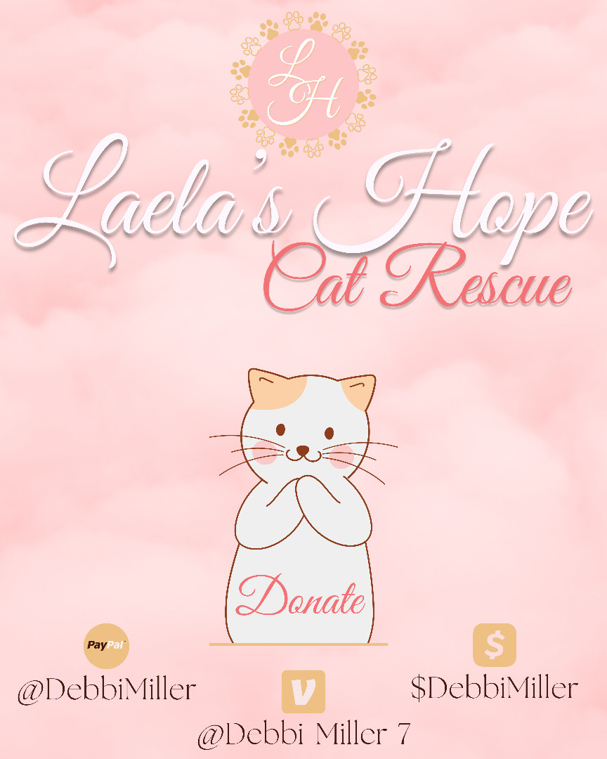 Hope cat sale rescue