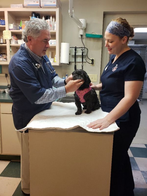 Commonwealth Animal Hospital