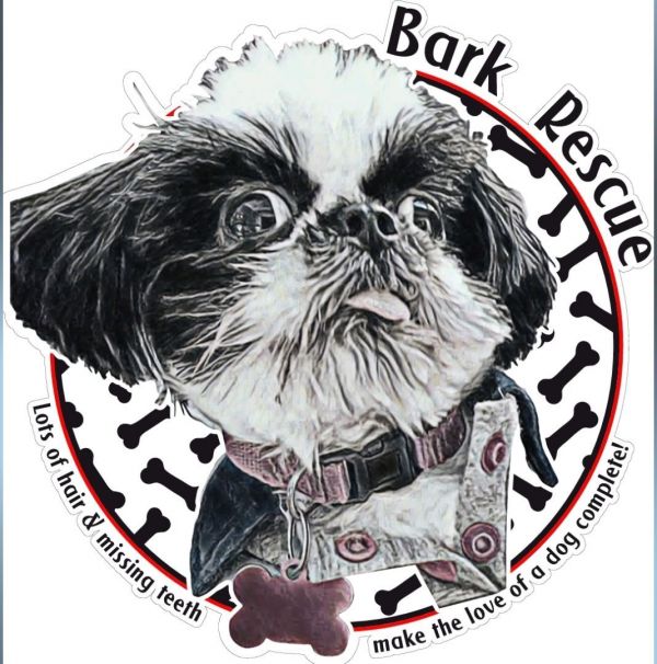 Bark N Ride Rescue & Relocation Team