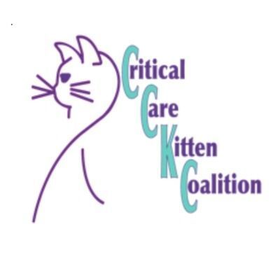 Critical Care Kitten Coalition