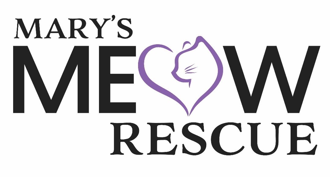 Mighty Meow Kitten Rescue