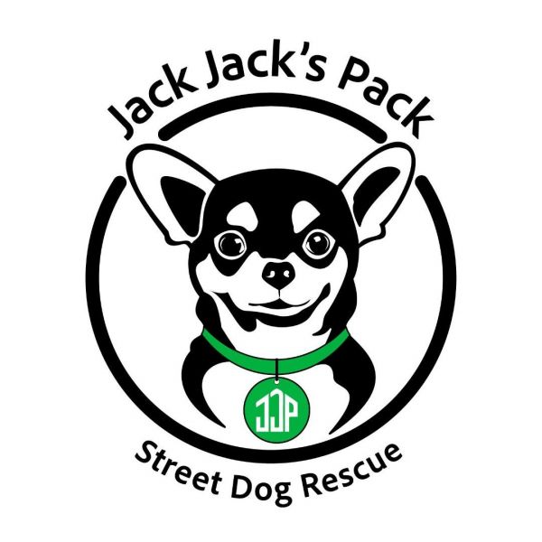 Jack Jack's Pack Street Dog Rescue