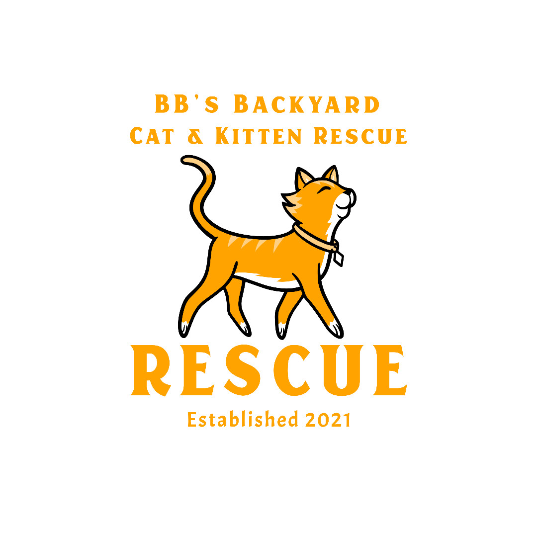 BB’s Backyard Cat & Kitten Rescue