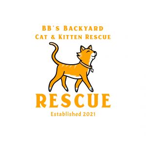 BB’s Backyard Cat & Kitten Rescue