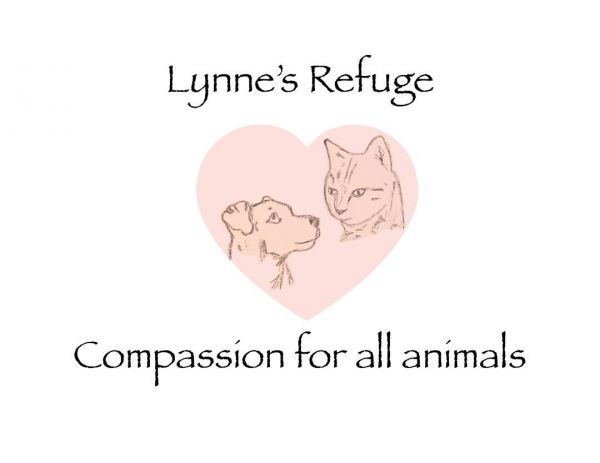 Lynne's Refuge