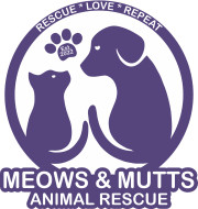 Meows and Mutts Rescue