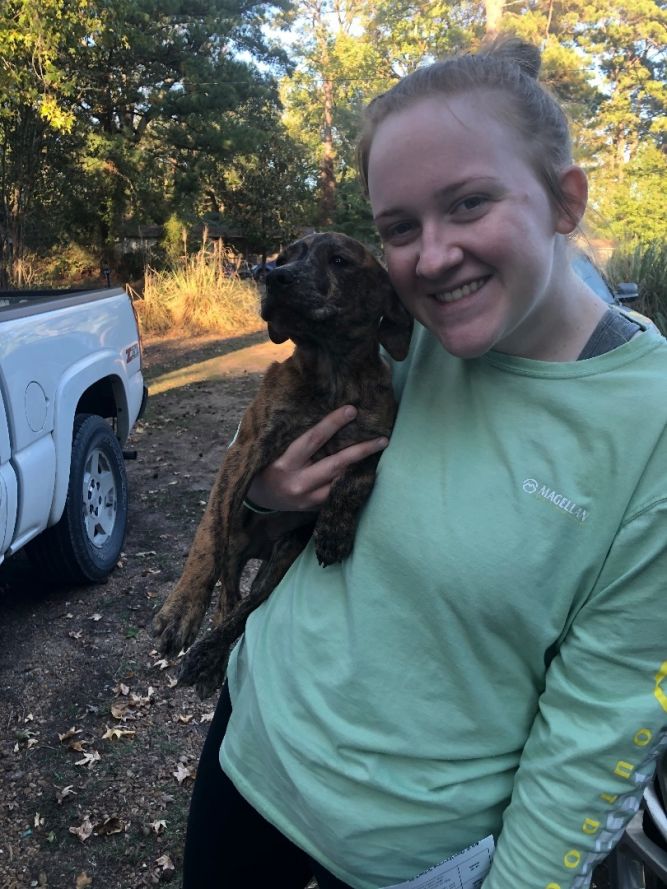 God’s PAWS Rescue and Shelter