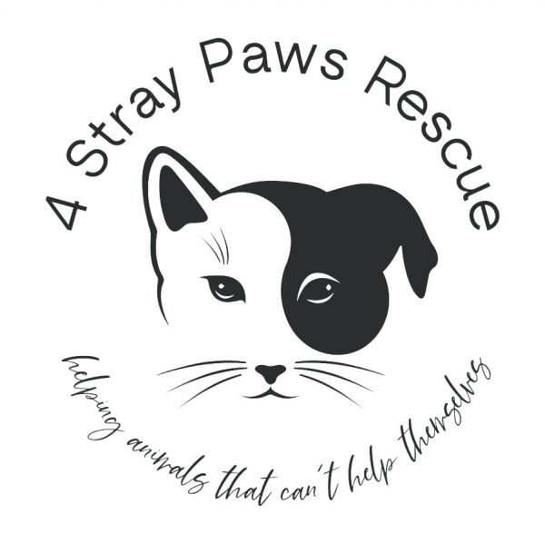 4 Stray Paws Rescue