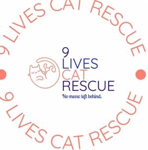 9 Lives Cat Rescue