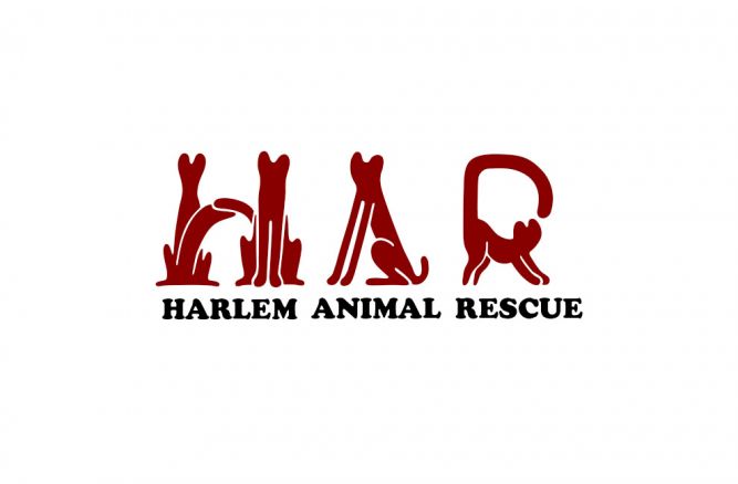 Be The Change Animal Rescue