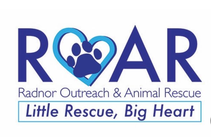 Outreach Rescue