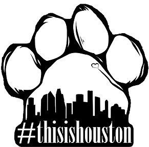 ThisIsHouston