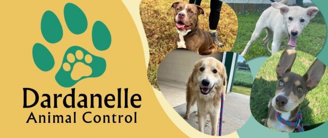 Dardanelle Animal Control