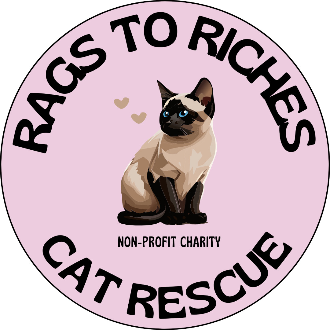 Rags To Riches Cat Rescue