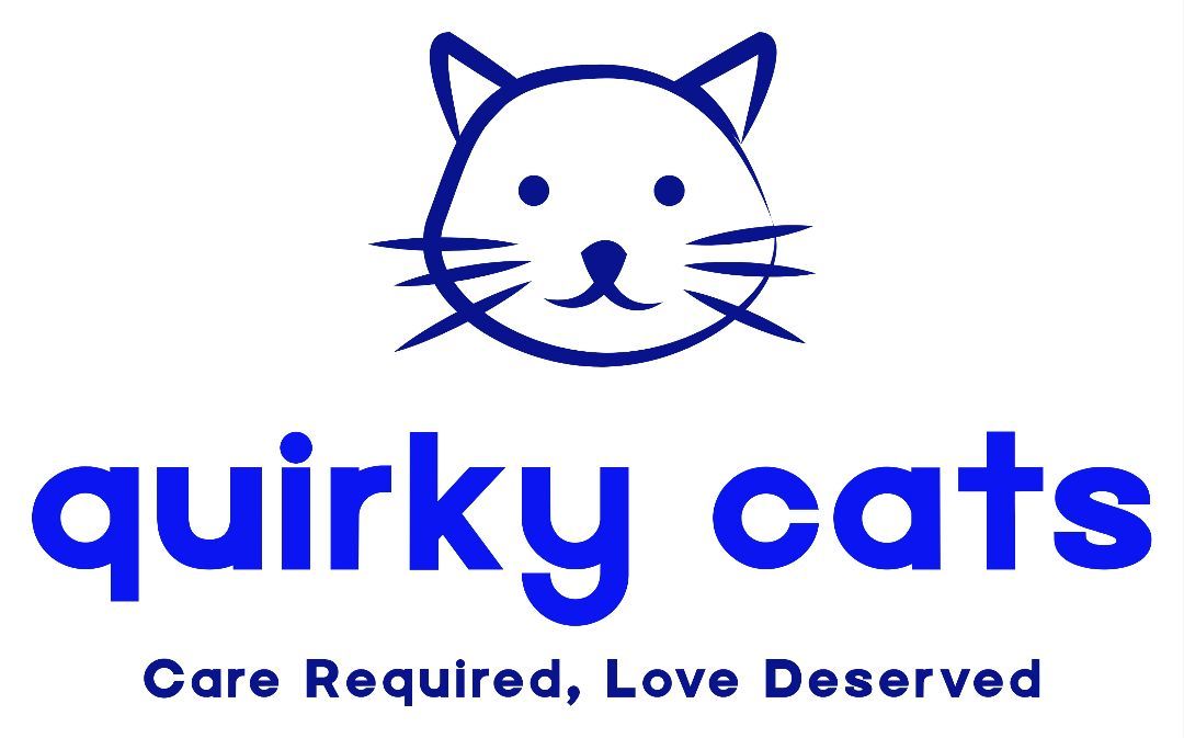 Quirky Cats Sanctuaries